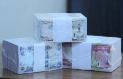 97 Trillion Dinars of Internal Debt